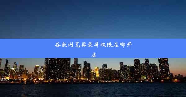 谷歌浏览器录屏权限在哪开启