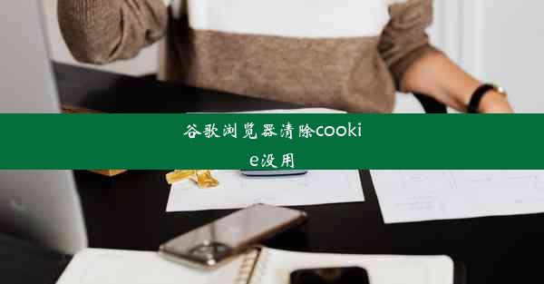 谷歌浏览器清除cookie没用