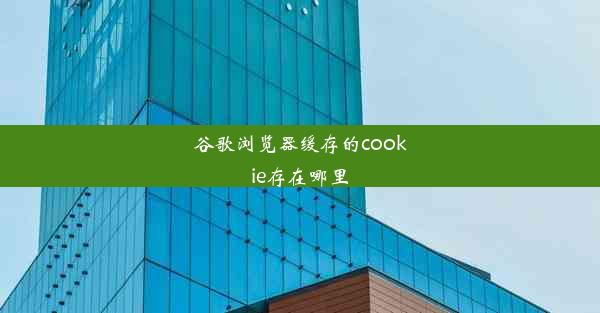 谷歌浏览器缓存的cookie存在哪里