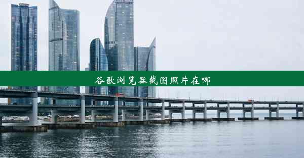 谷歌浏览器截图照片在哪