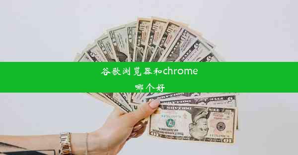 谷歌浏览器和chrome哪个好