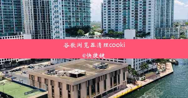 谷歌浏览器清理cookie快捷键