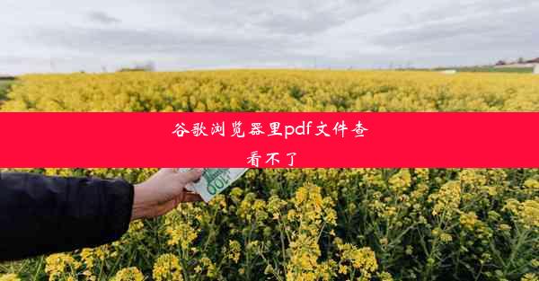 谷歌浏览器里pdf文件查看不了