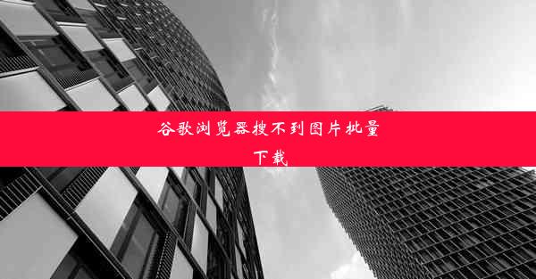 谷歌浏览器搜不到图片批量下载