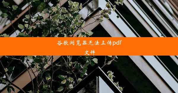 谷歌浏览器无法上传pdf文件