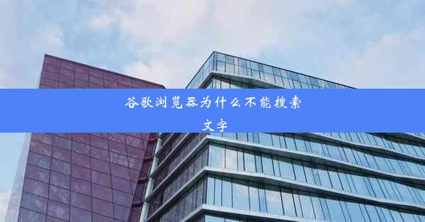 谷歌浏览器为什么不能搜索文字