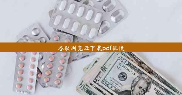 谷歌浏览器下载pdf很慢