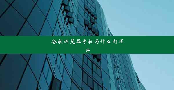 谷歌浏览器手机为什么打不开