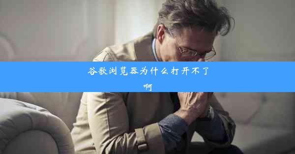 谷歌浏览器为什么打开不了啊