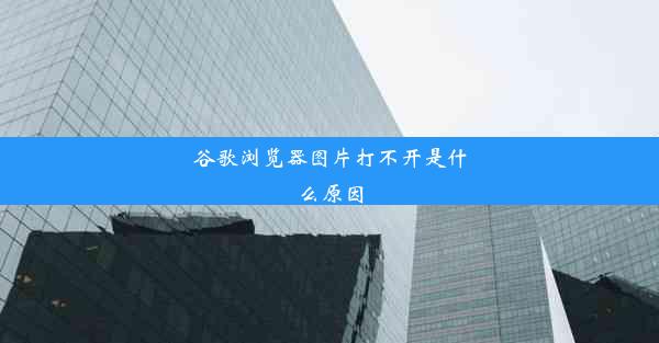 谷歌浏览器图片打不开是什么原因