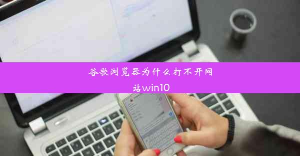 谷歌浏览器为什么打不开网站win10