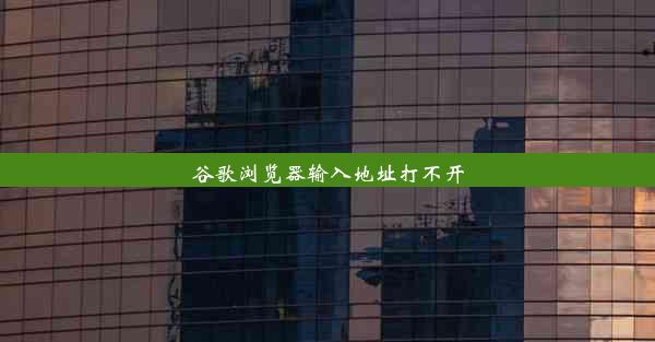 谷歌浏览器输入地址打不开